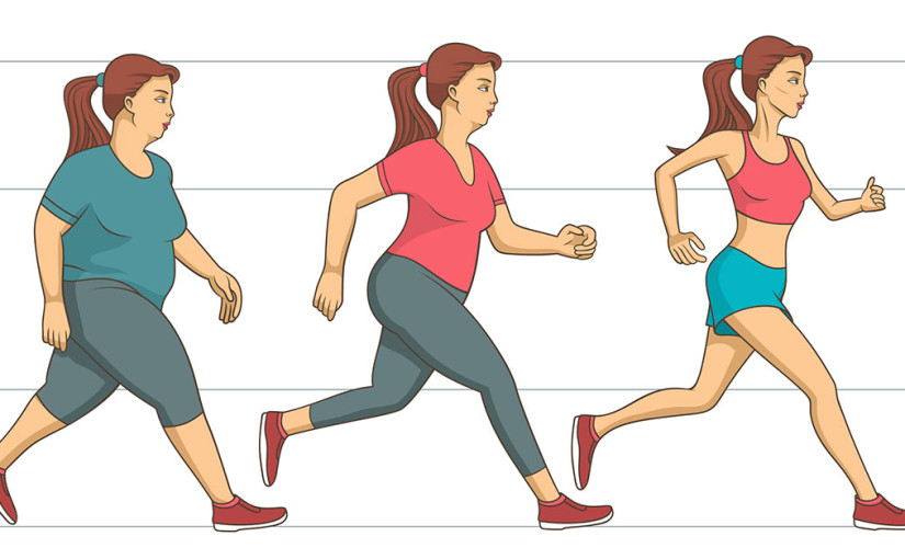 Упражнения Для Снижения Веса Тела Тест